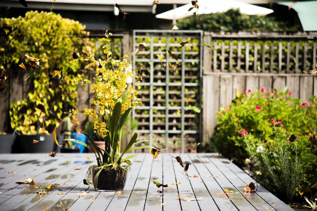 Garden improvements that will add value to your property
